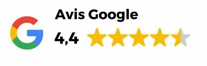 Google Review Badge
